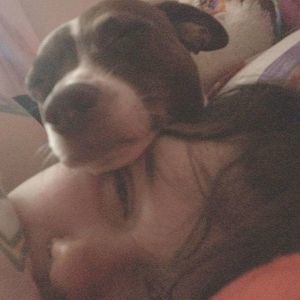 Meet your Posher, Shawna